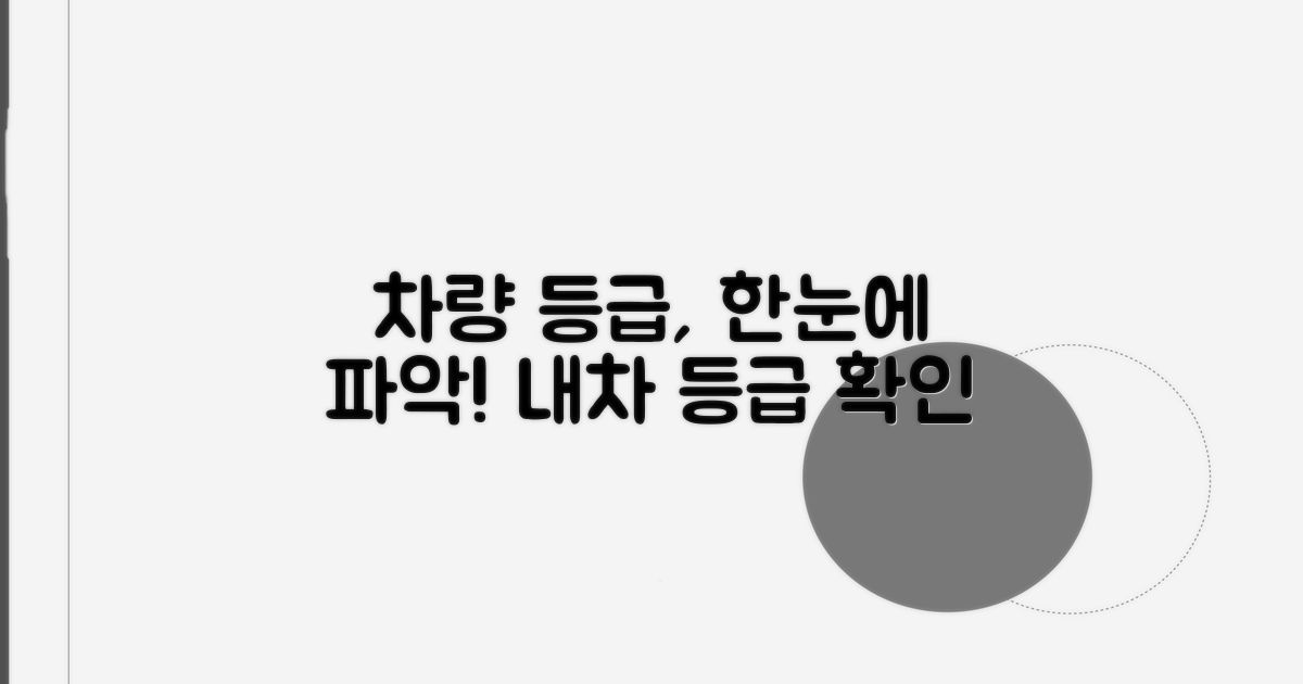 내 차량 등급, 한눈에 파악하기
