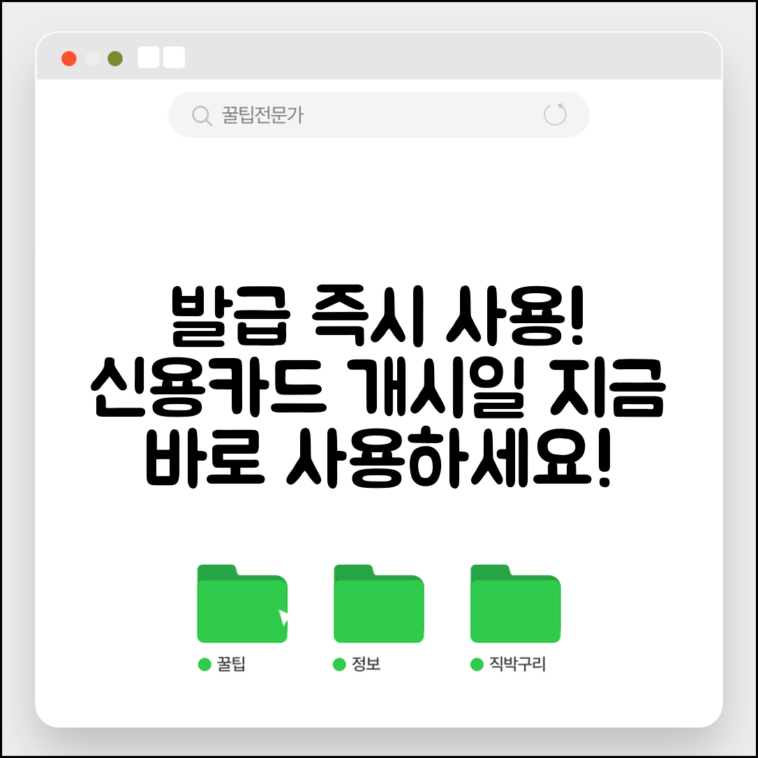 신용카드 발급 후 이용기간 | 신규 카드 발급 후 사용 가능 시점