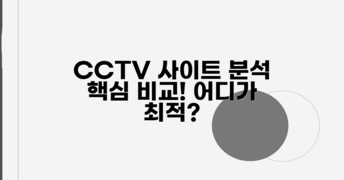 주요 CCTV 사이트별 특징 비교