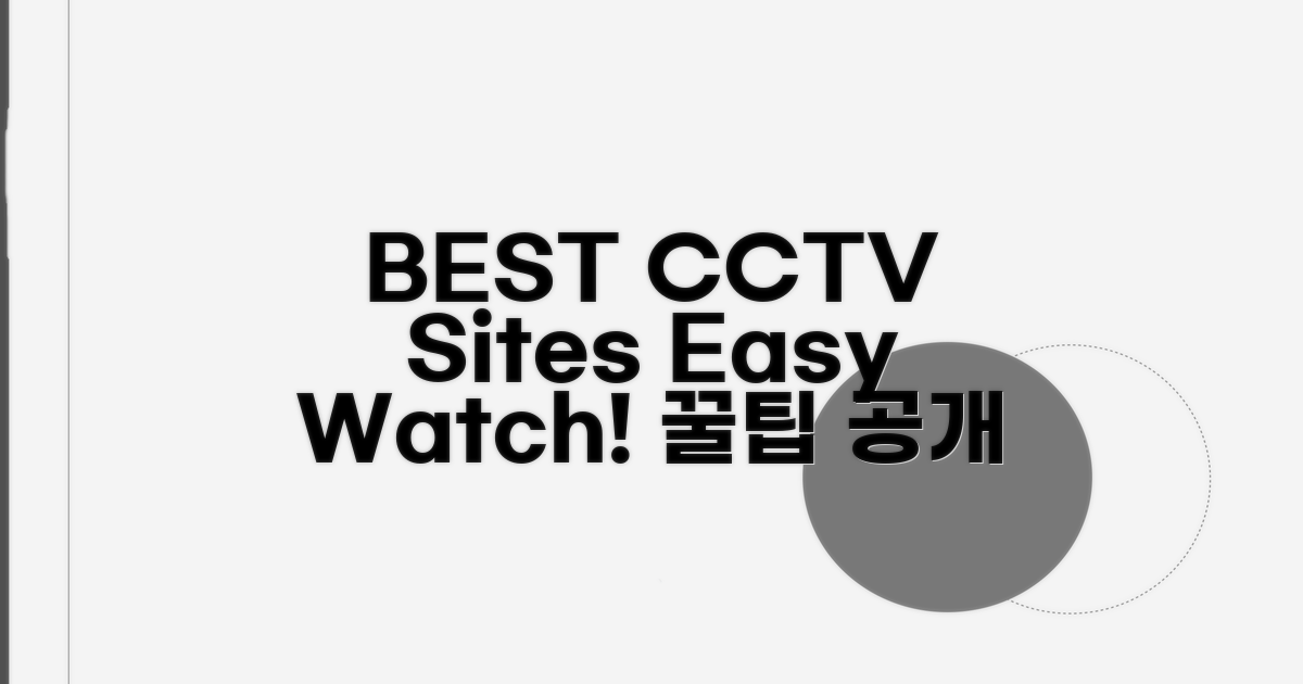 CCTV 보기 좋은 사이트 추천