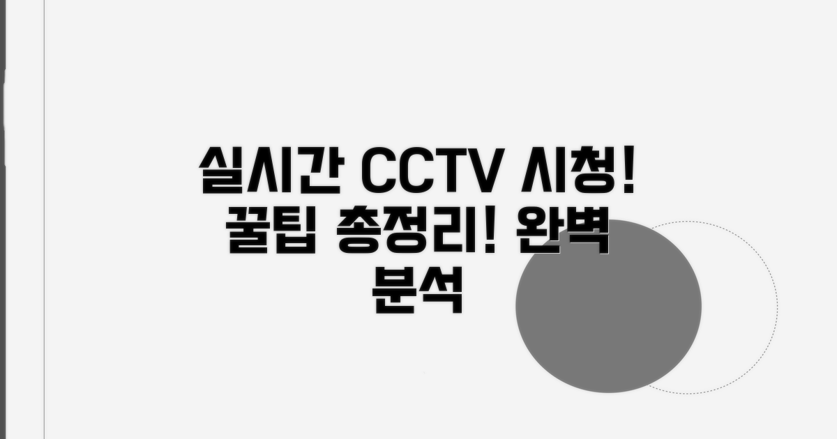 실시간 CCTV 시청 방법 완벽 분석
