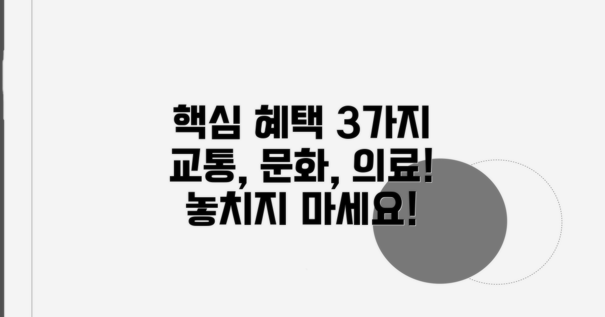 교통, 문화, 의료 혜택 활용법
