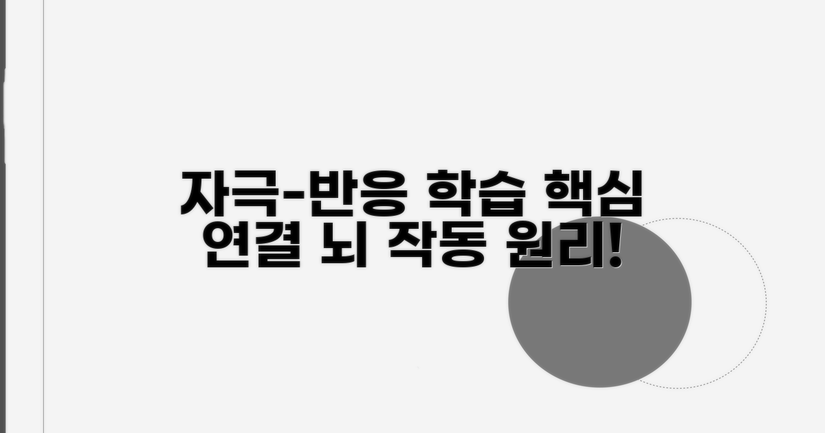자극과 반응 연결 학습 과정