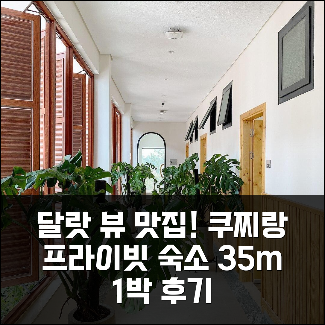 달랏 산 전망 쿠찌랑의 스튜디오 프라이빗 하우스 35m² 1박 후기