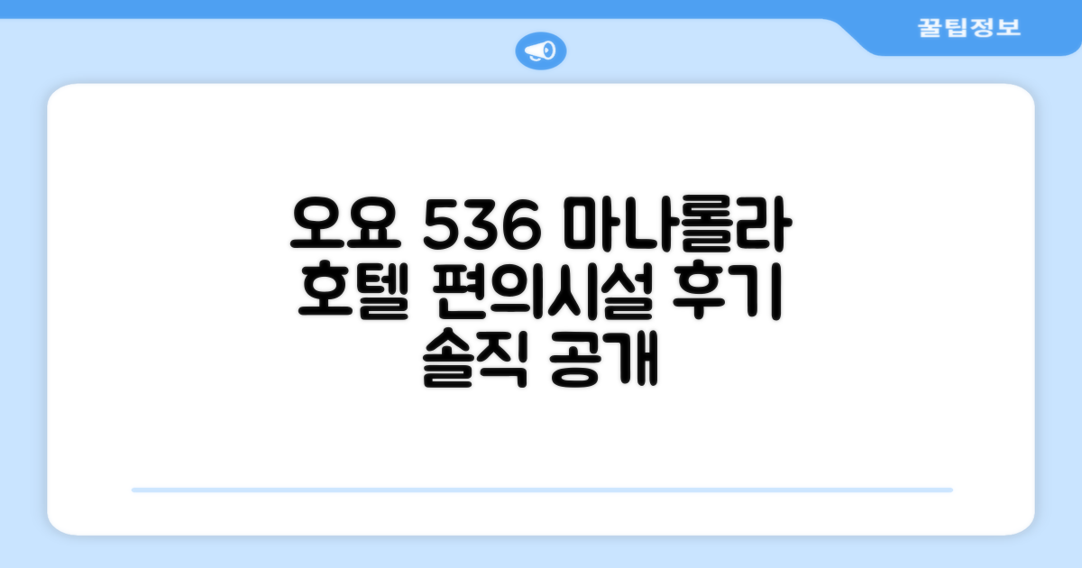 오요 536 마나롤라 호텔 편의시설 이용 후기