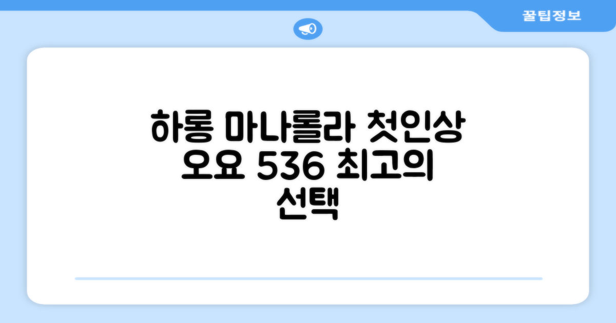 오요 536 마나롤라 호텔, 하롱에서의 첫인상