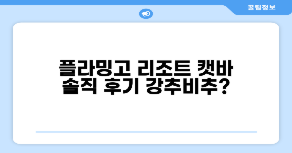 플라밍고 리조트 캣바 총평