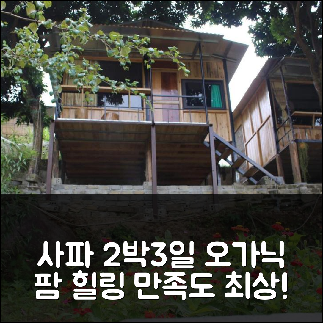 2박 3일 사파 오가닉 팜 홈스테이, 자연 속 힐링 만족도 최상!