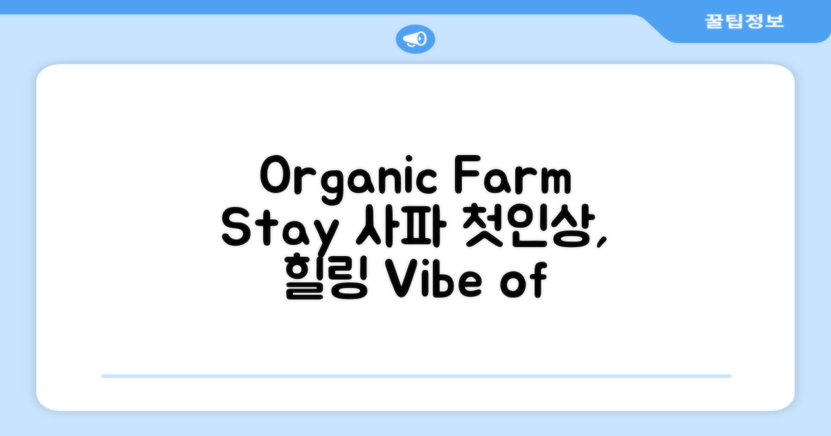 Organic Farm Homestay, 사파에서의 첫인상