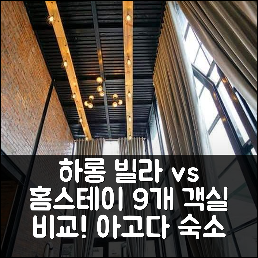 하롱 빌라 vs 홈스테이? 9개 객실 대형 숙소 비교 가이드