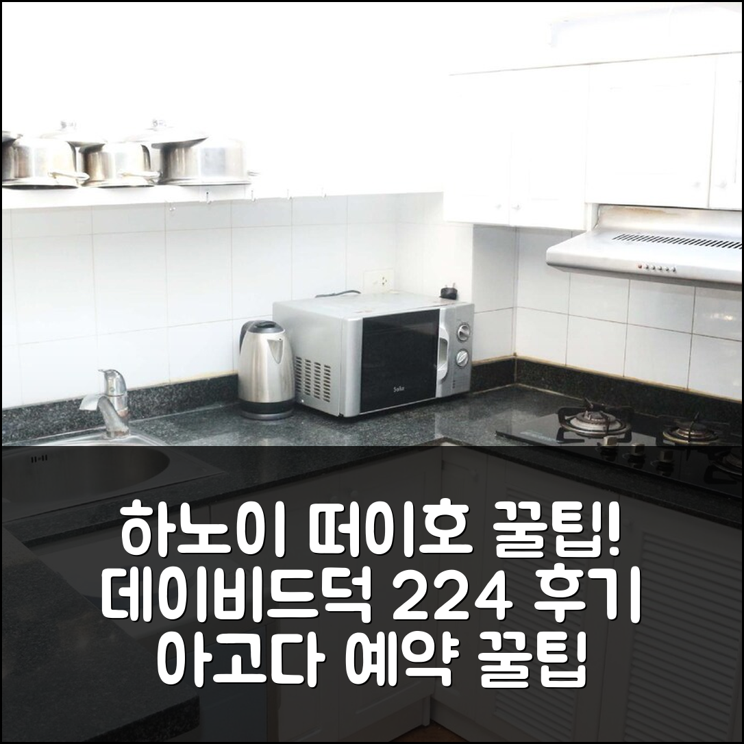 하노이 떠이호구의 아파트먼트 데이비드덕 224 아우 코 숙박 후기
