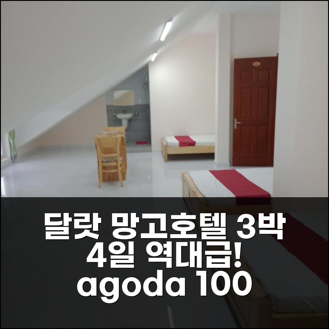 3박 4일 달랏 망고호텔 숙박 후기, 재방문 의사 100%
