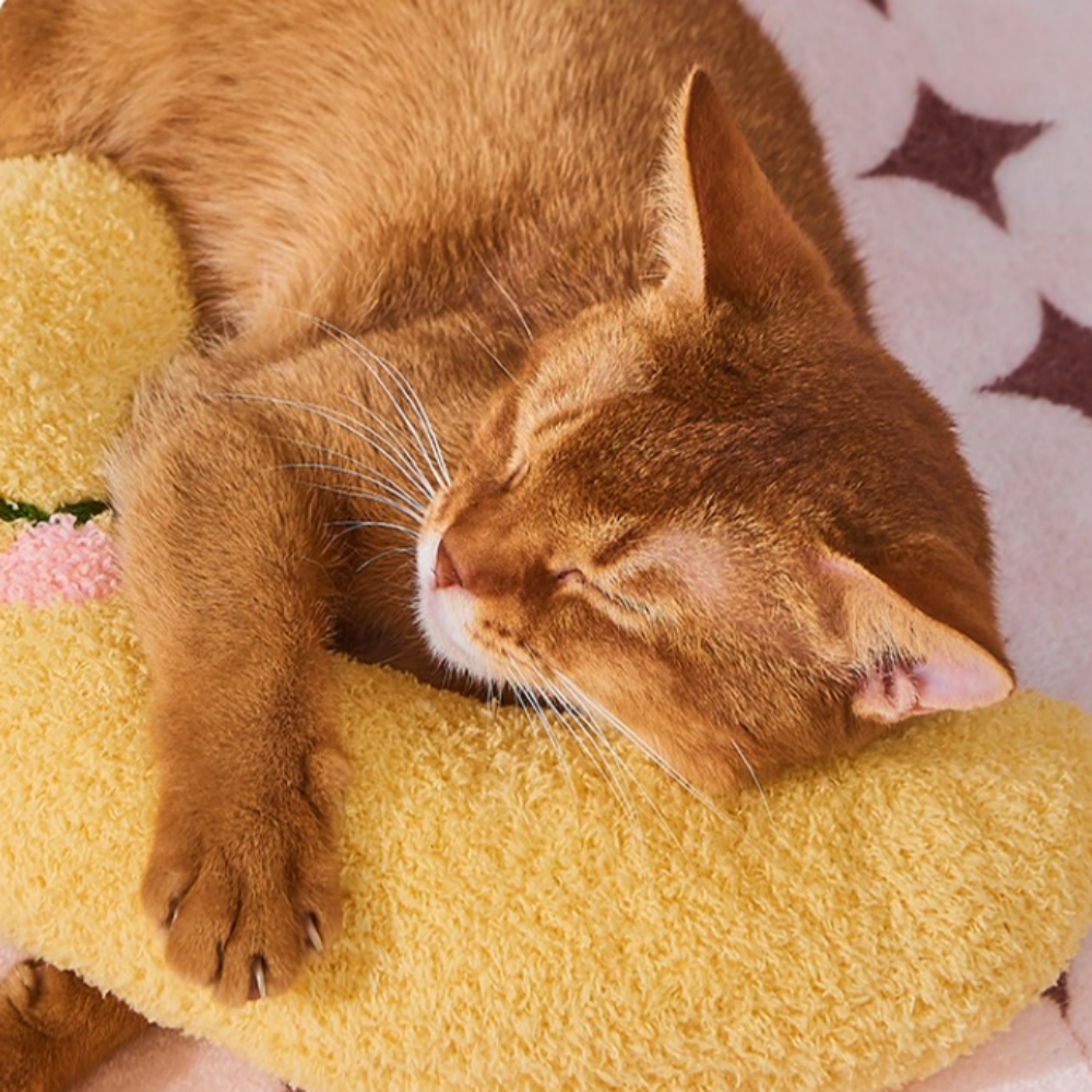 반려동물 수면 질 개선 목받침 반달 베개, 1개, 노란색할인 상세 이미지 1