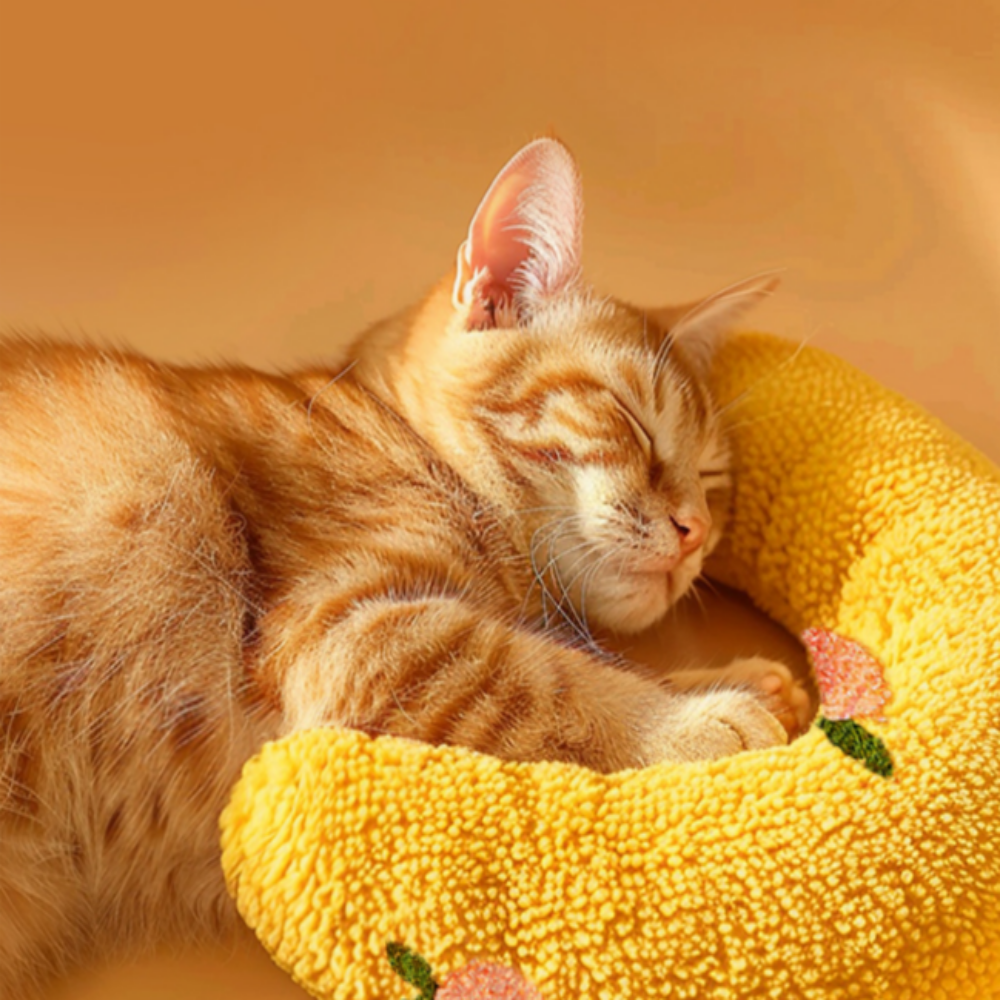 반려동물 수면 질 개선 목받침 반달 베개, 1개, 노란색할인 상세 이미지 2